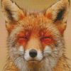 Smiling Orange Fox Face Diamond Painting