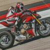 Streetfighter Bike Driver Diamond Painting