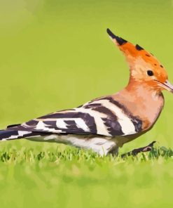 Aesthetic The Hoopoe Diamond Painting