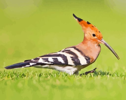 Aesthetic The Hoopoe Diamond Painting