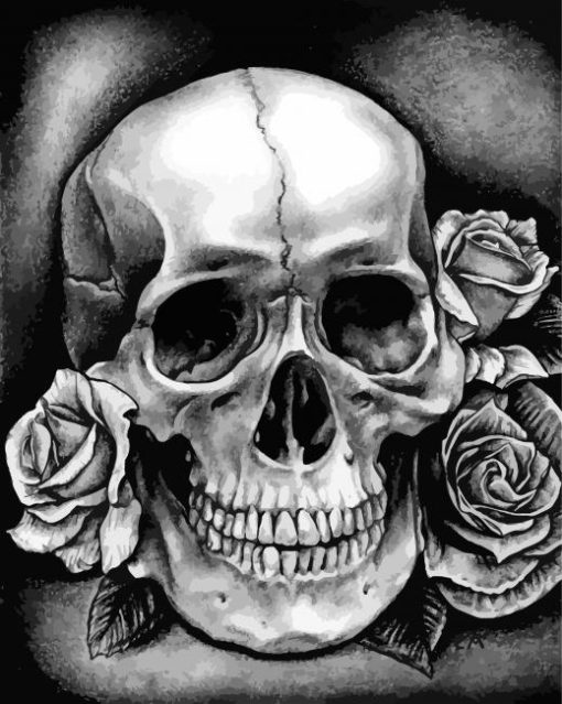 Black And White Skull Diamond Painting