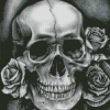 Black And White Skull Diamond Painting