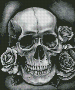 Black And White Skull Diamond Painting