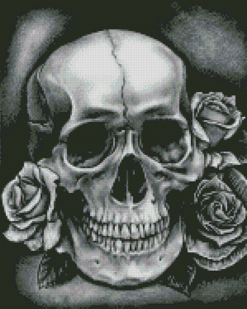 Black And White Skull Diamond Painting