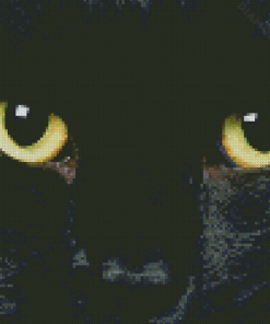 Black Cat Eyes Diamond Painting