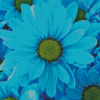 Blue Daisies Diamond Painting