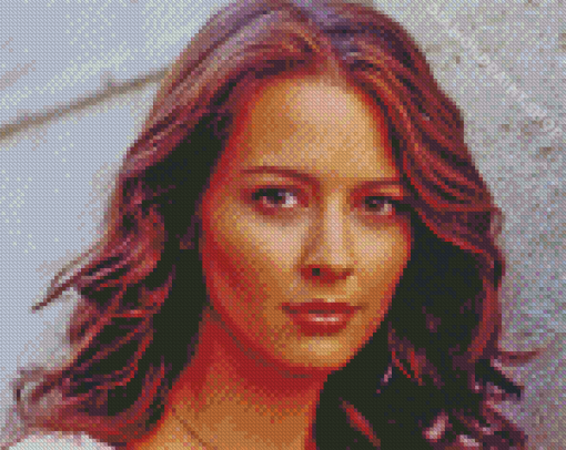 Close Up Amy Acker Diamond Painting