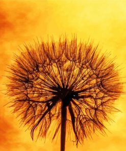 Closeup Sunset Dandelion Diamond Painting