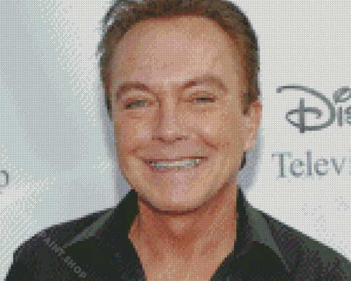 David Cassidy Diamond Painting