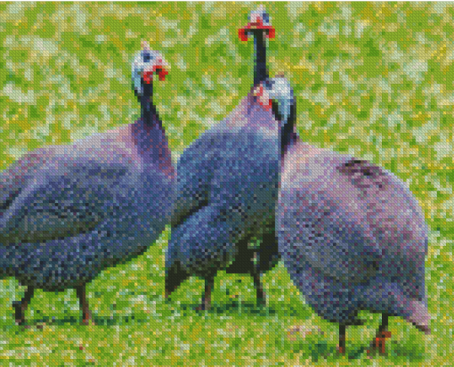 Guineafowls Diamond Painting