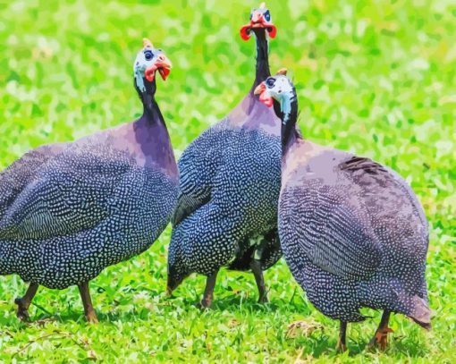 Guineafowls Diamond Painting