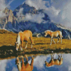 Haflinger Horses Water Reflection Diamond Painting