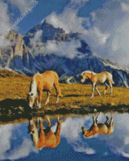 Haflinger Horses Water Reflection Diamond Painting