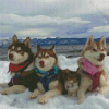 Huskies With Cat In Snow Diamond Painting