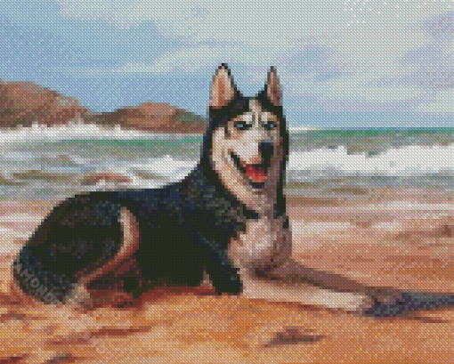 Husky Dog In The Beach Diamond Painting