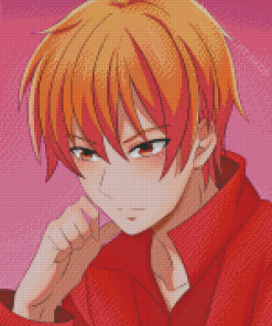 Kyo Sohma Fruits Basket Art Character Diamond Painting