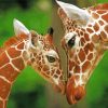 Mother Giraffe Diamond Painting