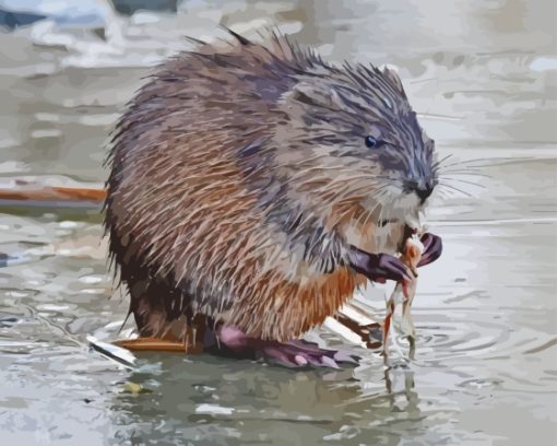 Muskrat Animal Diamond Painting