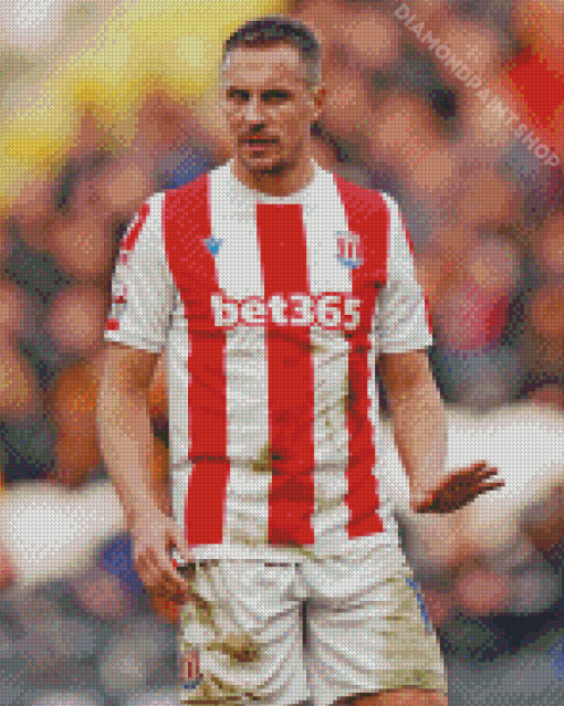 Phil Jagielka Stoke Diamond Painting