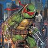 Raphael TMNT Character Diamond Painting