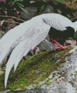 Silver Pheasant Diamond Painting