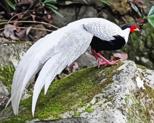 Silver Pheasant Diamond Painting