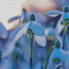 Snowdrops Flowers Plant Diamond Painting