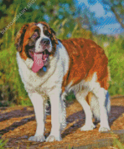 St Bernard Diamond Painting