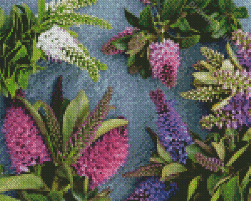 The Hebe Plants Diamond Painting