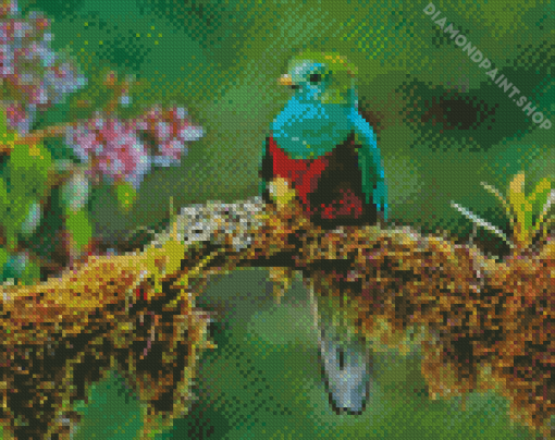 The Quetzal Bird Diamond Painting