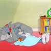 Tom And Jerry And Dog Sleeping Diamond Painting