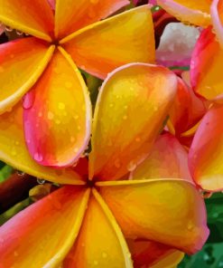 Water Drops On Orange Plumeria Diamond Painting