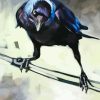 Western Jackdaw Bird Diamond Painting