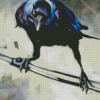 Western Jackdaw Bird Diamond Painting