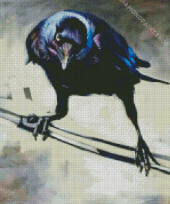 Western Jackdaw Bird Diamond Painting