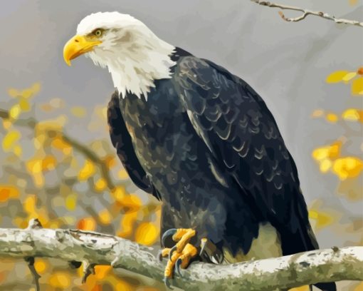 Bald Eagle Diamond Painting