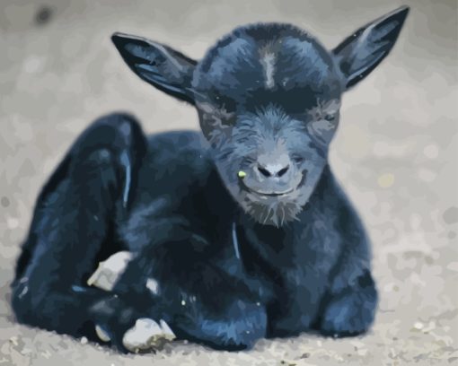 Black Baby Goat Diamond Painting