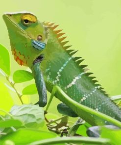 Cameleon On Tree Diamond Painting