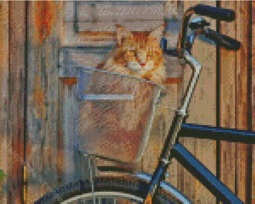 Cat Riding A Bike Diamond Painting