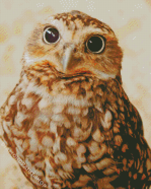 Cute Big Eyed Bird Diamond Painting