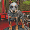 Cute Blue Healer Diamond Painting