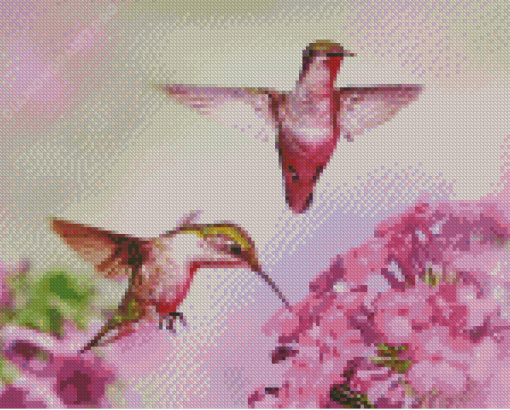 Flying Couple Hummingbird Diamond Painting