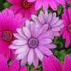 Pink And Purple Daisies Diamond Painting