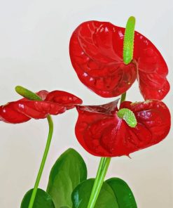 Red Flamingo Flowers Diamond Painting