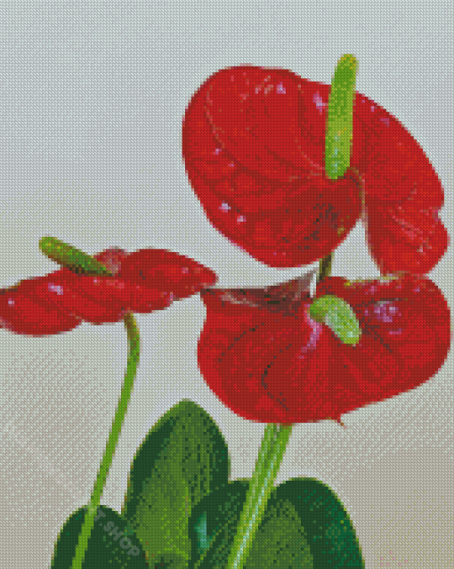 Red Flamingo Flowers Diamond Painting