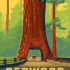 Redwood Forest Diamond Painting