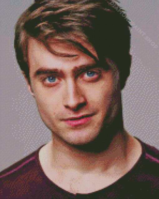 The Actor Daniel Radcliffe Diamond Painting