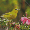 Yellow Hawaiian Honeycreeper Diamond Painting