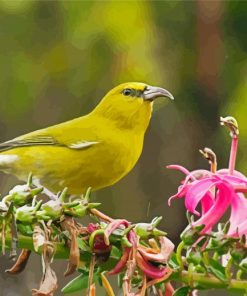 Yellow Hawaiian Honeycreeper Diamond Painting