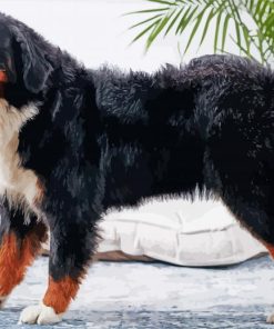 Bernese Mountain Dog Diamond Painting